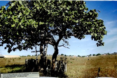 Sepultura cercada de palanques de aroeira e com árvores nativas do cerrado mato-grossense - Julho de 2009