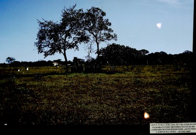 Sepultura cercada de palanques de aroeira e com árvores nativas do cerrado mato-grossense, ao fundo, o Campus da UFMT - Julho de 2009