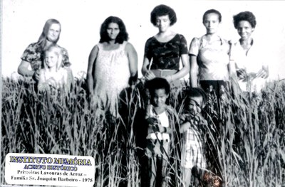 Primeiras lavouras de arroz - Família do Sr. Joaquim Barbeiro - 1975