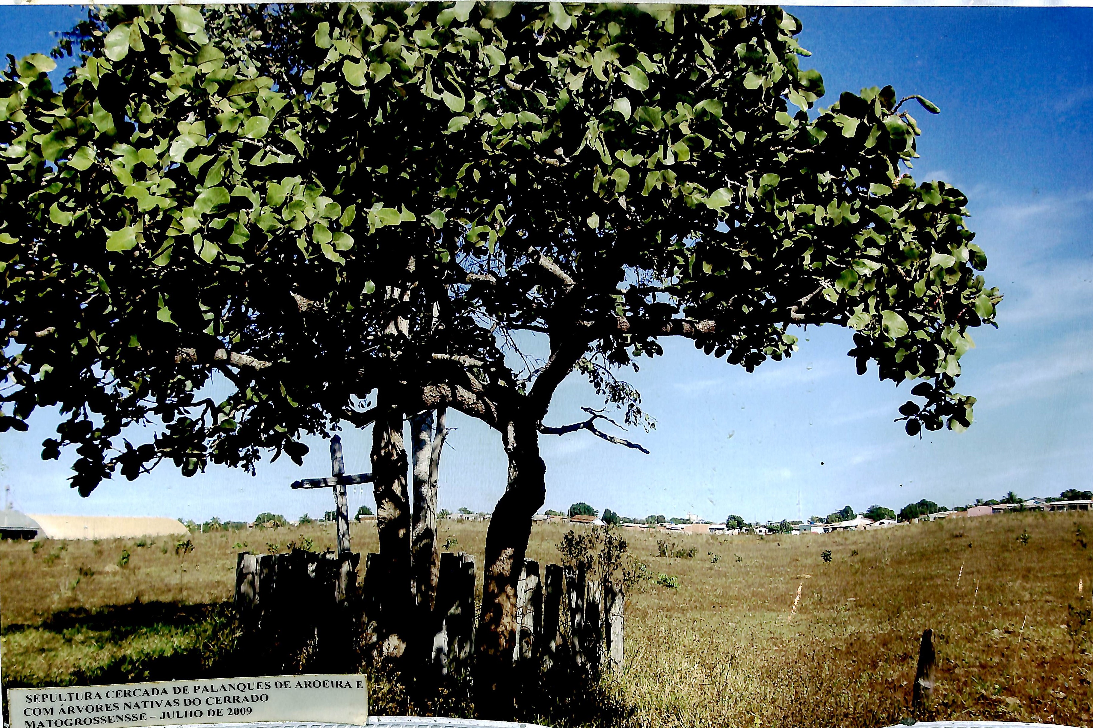 Sepultura cercada de palanques de aroeira e com árvores nativas do cerrado mato-grossense - Julho de 2009